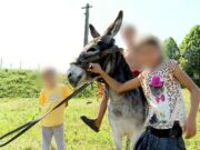 Ce s-a întâmplat cu tatăl din Suceava care și-a exploatat cei șase copii. Îi bătea de fiecare dată când nu munceau
