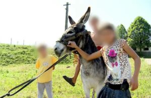 Ce s-a întâmplat cu tatăl din Suceava care și-a exploatat cei șase copii. Îi bătea de fiecare dată când nu munceau