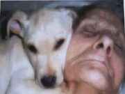 BĂTRÂNA A Stat În COMĂ Timp De O LUNĂ, Și CÂINELE Venea Mereu La CĂPĂTÂIUL Ei.