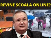 Revine școala online? Anuțul venit direct la premierul Ciucă