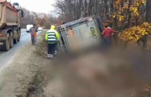 TIR încărcat cu porci, răsturnat în Olt. Animalele care n-au murit au fugit în pădure