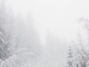 Va ninge în acest weekend în mai multe zone ale țării. Frig și ceață în restul regiunilor