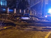 Copac căzut peste un bărbat, în fața clădirii Jandarmeriei Române din București. Arborele a blocat trotuarul și ambele sensuri de mers