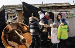 Lecția de omenie și de speranță dată de doi soți din Constanța care ajută o familie cu patru copii: „Aveau doar două jucării”