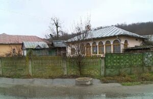 Povestea terifiantă a unei crime din Olt. Câți bani a primit un minor ca să ajute la uciderea unui bătrân