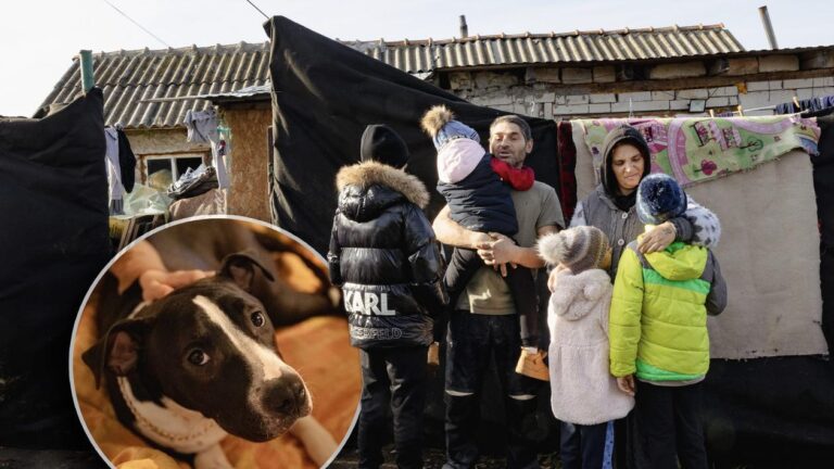 Lecția de omenie și de speranță dată de doi soți din Constanța care ajută o familie cu patru copii: „Aveau doar două jucării”