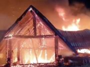 Percheziții în dosarul incendiului de la Ferma Dacilor! Șase persoane au fost duse la audieri