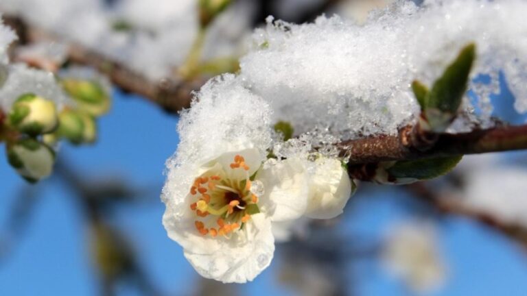 Val de aer tropical peste România: temperaturile urcă la 20 de grade Celsius! Unde continuă să ningă
