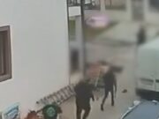 Un clan de interlopi a semănat teroare în Galaţi. Abia ieşiţi din închisoare, 6 indivizi şi-au atacat rivalii cu bâte şi cuţite