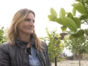 Povestea soților care au dat lovitura cu o afacere cu plante exotice în România. Florida și Mihai cresc măslini și palmieri, la Homorog