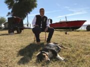 Dinescu îl desființează pe Becali: „Poate unora li se pare Gigi un om de afaceri, dar nici el nu are nici o meserie. A făcut afaceri cu statul”