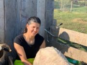 Cât de mulți bani poate să facă Geta, sora lui Culiță Sterp? Sora artistului e ciobănița și are stâna ei de oi