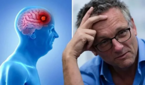 816ea8fb-dd00-4606-b63d-7e081a0c03bb