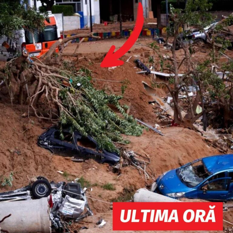 O femeie a stat 11 ore în copac pentru a se salva de viitură în Valencia. Un șofer de TIR a fost salvarea ei