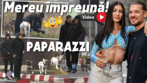 14109c7f-2ae7-401b-86e5-bc26c4211496