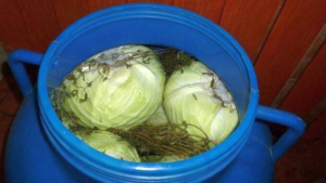 4606a894-ca34-43fc-ba9e-789f6c12e249