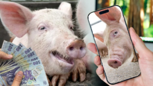 4fd5f600-9f82-449d-86d3-b8d2491f416f