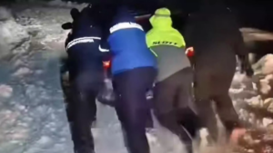 5d1a508a-2c98-4e5f-a8a1-7804490c6413