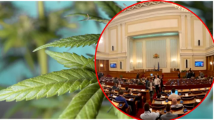 7c12cc31-e9fd-439f-a482-5ab9085b04e3