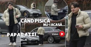 8d5d1ef1-06fa-443f-b403-6d527daf9ee2