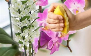 ea952753-1b8e-4ba6-85ff-0242ecfe0091