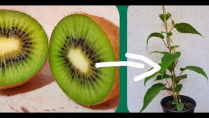 473192911_454608927725732_3900947792990883258_n-660x330-1