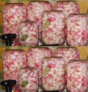 474586651_1198140088538990_2987015293091756238_n