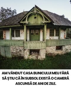 475735030_944541951134955_320310829858645828_n