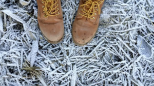 78087ad2-5dd7-4497-abc6-f4be74b1874d