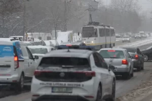 ID293969_INQUAM_Photos_George_Calin-e1739901084796