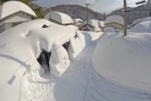 profimedia-0960947625