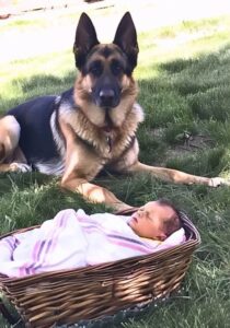 475111121_646856267694450_702322