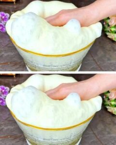 482326113_1069041691932120_8083855462394613278_n