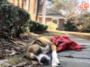 Au trecut patru ani de când soțul meu a dispărut fără urmă. Plecase într-o drumeție solo pe munte, iar de atunci nimeni nu l-a mai văzut.