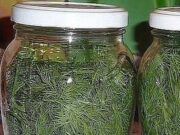 Uite așa se păstrează proaspăt mărarul – Nu mai e nevoie de îngheț și rămâne proaspăt câteva luni la rând! Este cea mai bună metodă: