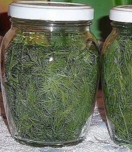 483482844_1072375888265367_4371091343957390614_n