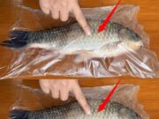 Astăzi am învățat că pentru a îndepărta solzii peștelui ai nevoie doar de o pungă de plastic