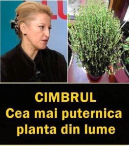 487170228_1087171046785851_2619734701801652897_n