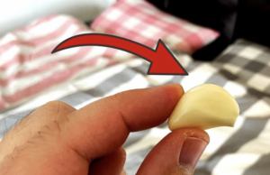 Captura-de-ecran-din-2023-02-04-la-12.27.17