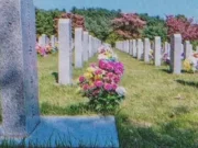 La un an după moartea fiului său, o mamă descoperă un adevăr șocant la cimitir. Povestea zilei