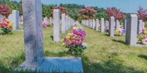 Screenshot-2025-03-11-at-12.21.53-600x300