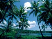 Insula paradisiacă unde îți poți cumpăra cetățenie cu numai 36.000 £. Aici îți poți transforma viața într-o continuă vacanță