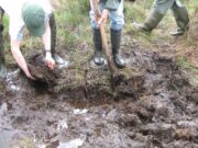 Copiii au venit la el și i-au spus: ,,Tati, e ceva îngropat în gradină!”, așa că bărbatul și-a chemat niște prieteni și au început să sape. Când a văzut ce avea în curte și-a pus mâinile în cap!