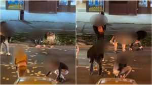 MzRkNDkzMzI3MDk5OWQ3YjM0YmJjOWZlMw==.thumb