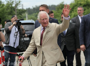 charles-mesaj-nicusor-dan_23641500