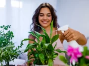 Par frumoase, dar pot fi letale! Florile toxice pe care mulți români le țin în casă fără să știe