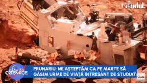 https___www.gandul.ro_wp-content_uploads_2025_05_cut-16-3