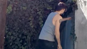 https___www.gandul.ro_wp-content_uploads_2025_05_whatsapp-image-2025-05-23-at-16-00-08-1280x731