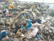 Consilierii locali din Arad au aprobat preluarea a 35.000 de tone de deşeuri pe an din judeţul Timiş