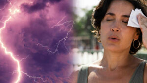 canicula-furtuni_92025100